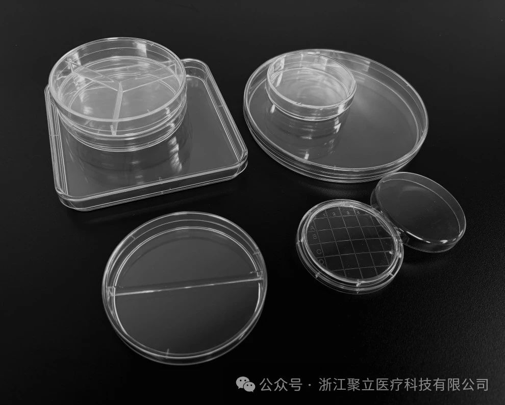 微信圖片_20241017143043.jpg