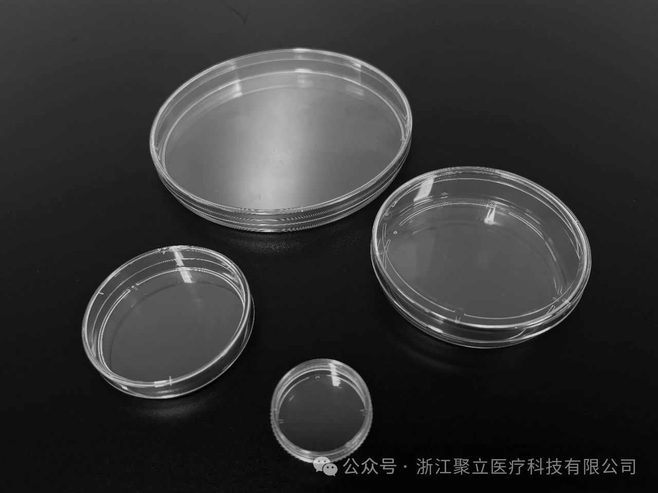 微信圖片_20241017143113.jpg