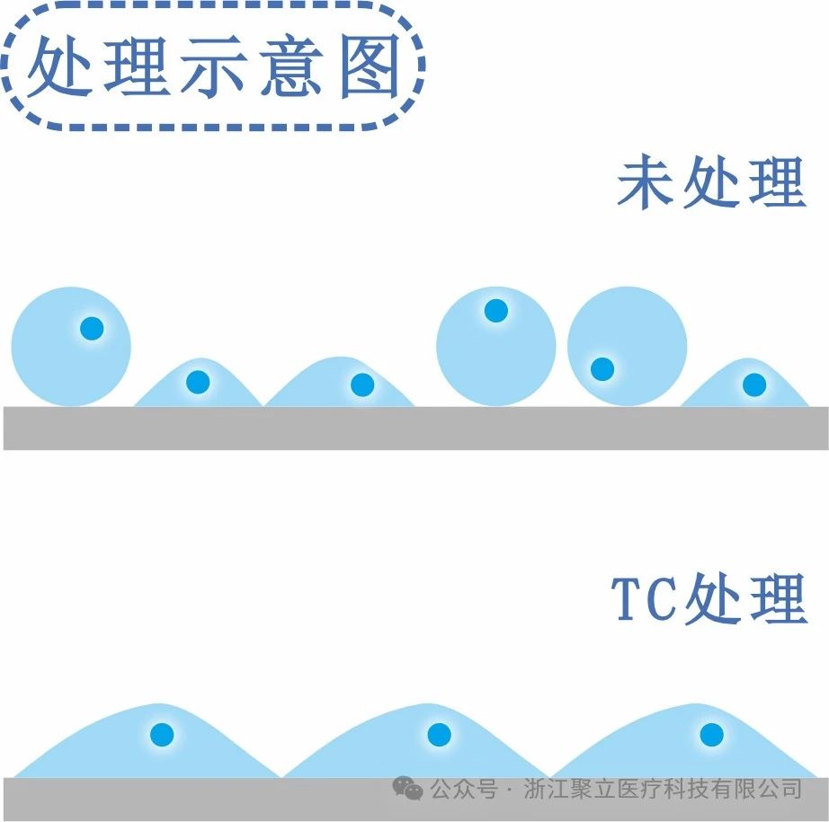 微信圖片_20241017143122.jpg